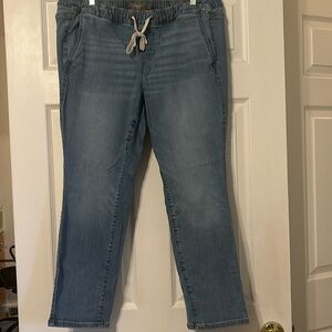 Torrid Pull-On Weekend Straight Soft Mid-Rise Jean, light wash, Size 14-16 (1X)